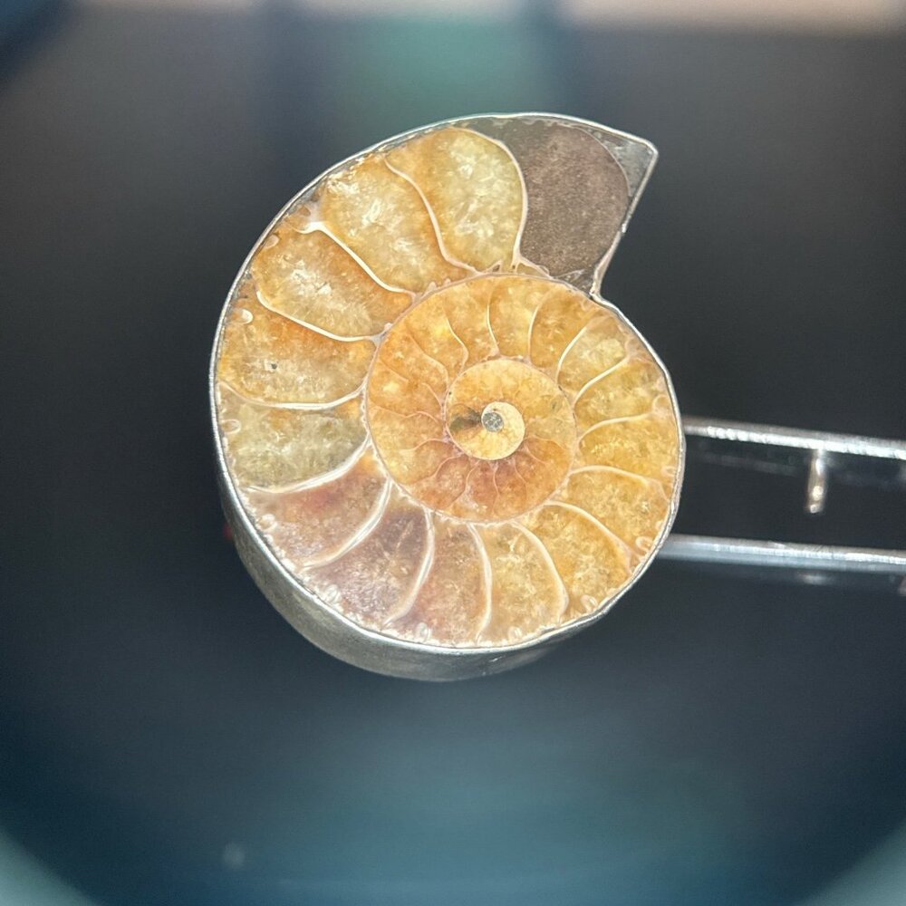 950 Silver Coiled Shell Ring - image 3